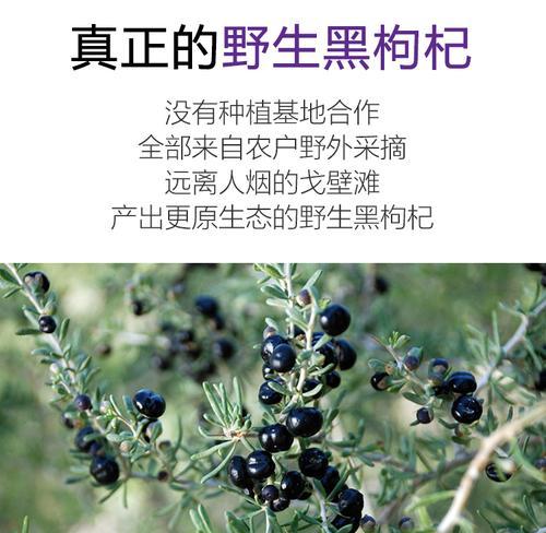 黑枸杞树几年结果实？种植后多久能收获？