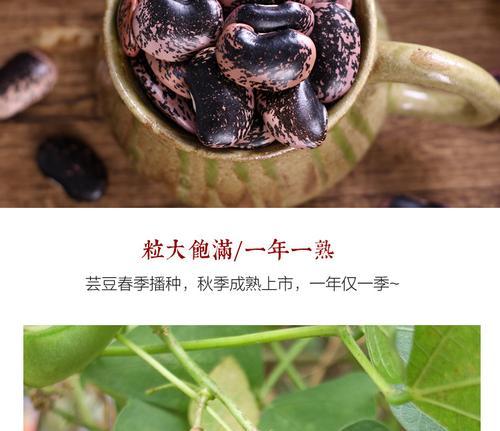 黑小豆播种的最佳时机是什么时候？如何确保高产？