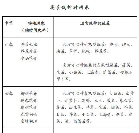 黑心菊什么时候种植最好？种植方法有哪些常见问题？