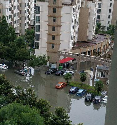 上海花木镇杜鹃路小区地址查询在哪里