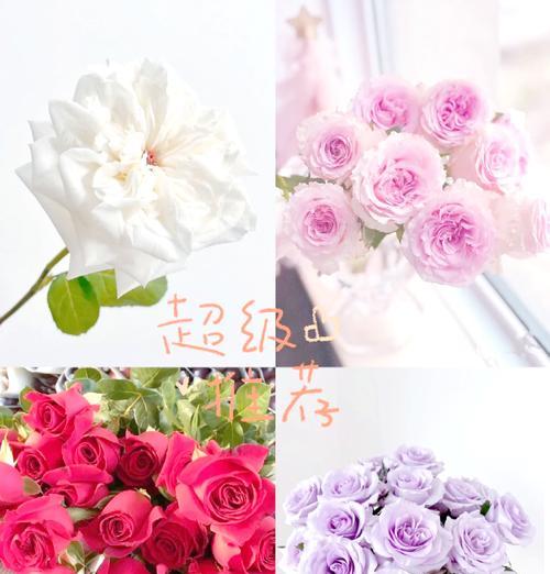 11朵粉色玫瑰花的含义是什么？代表了什么情感？