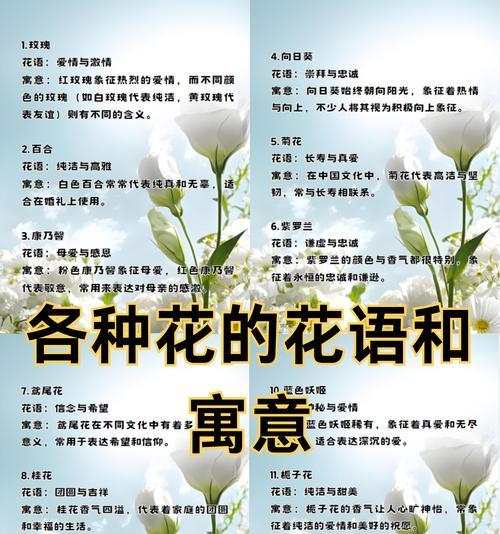 11朵玫瑰花与9朵百合花的组合代表什么？这种搭配的含义是什么？