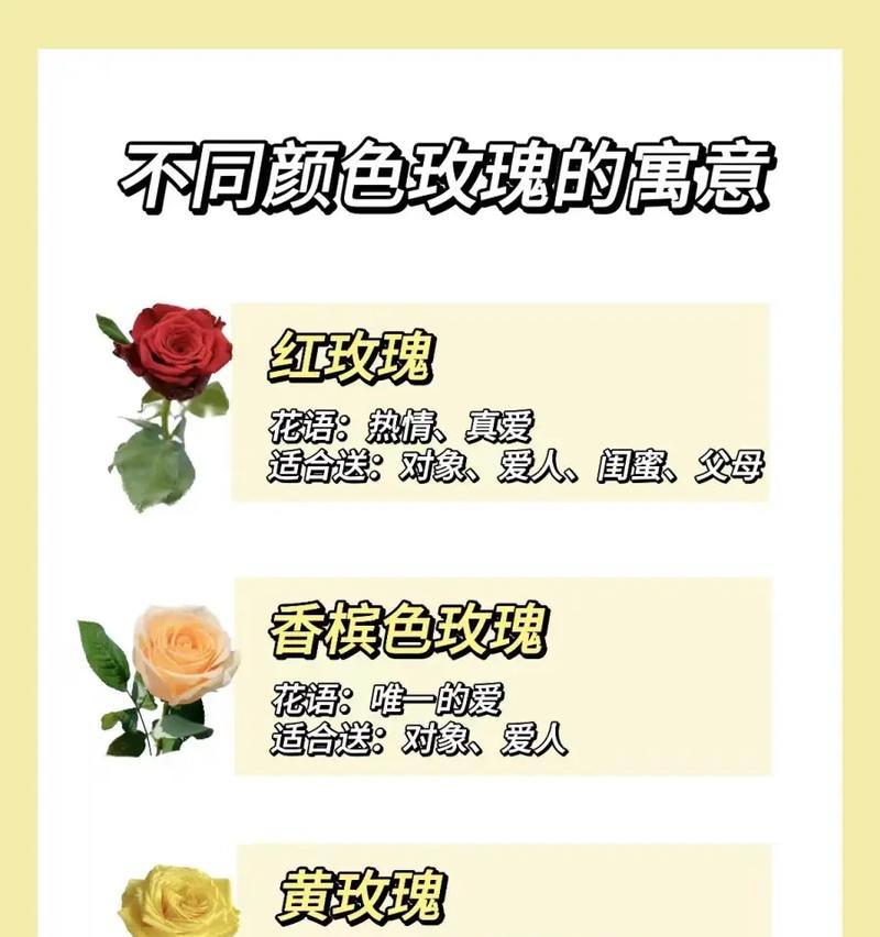 23朵红玫瑰花代表什么？这个数量有特别的含义吗？