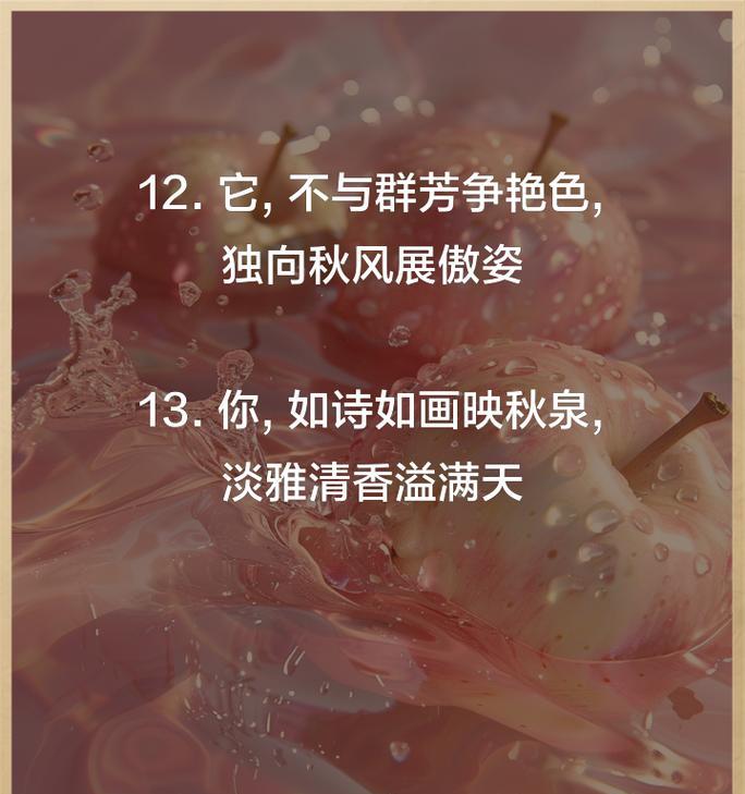 赞扬菊花的20字短句是什么？