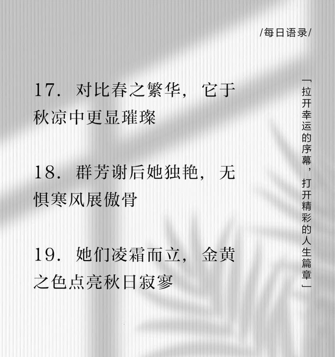 赞扬菊花的20字短句是什么？