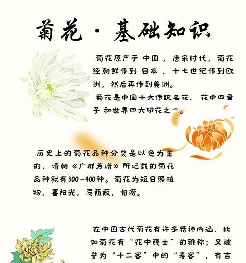 菊花的句子有哪些？如何简单概括？