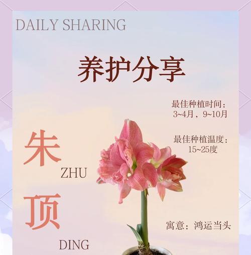 花卉打顶的具体含义是什么？