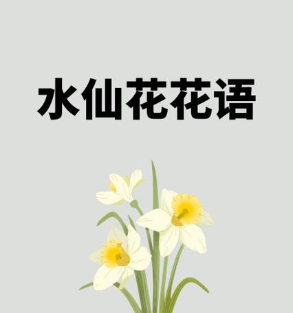 水仙花的花语有何深意？