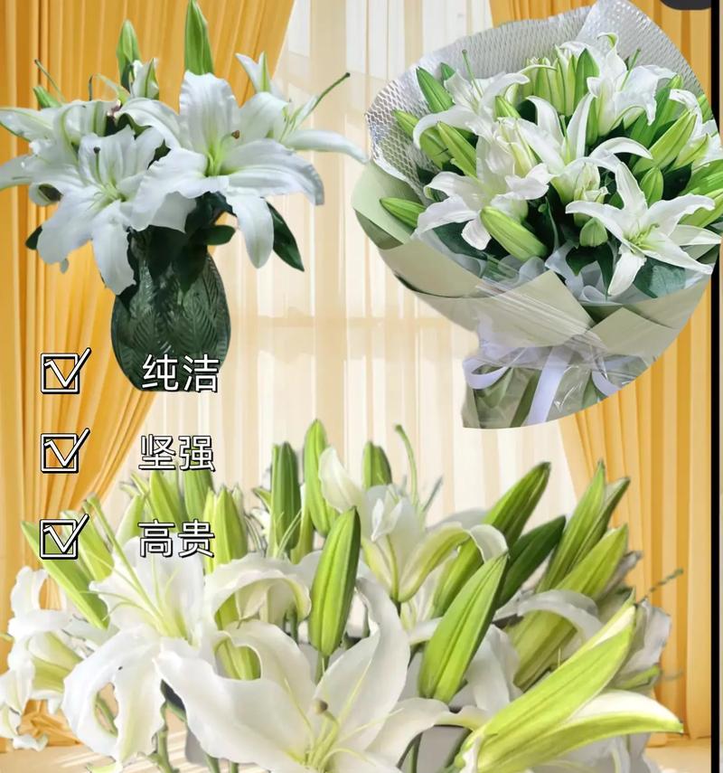 女生之间送百合花有何含义？百合花的象征意义是什么？