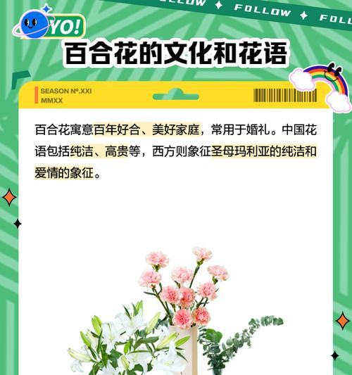 向日葵与百合搭配的花语是什么？送礼时有何讲究？