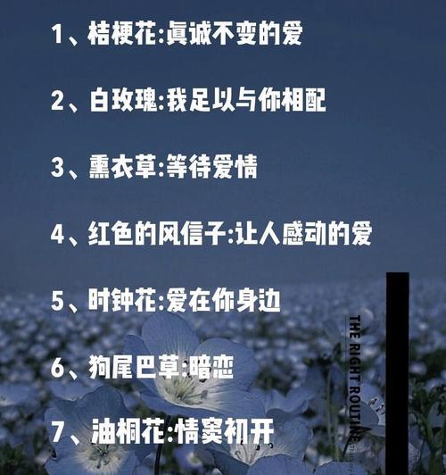 白玫瑰代表的友情花语是什么？白玫瑰的友情含义是什么？