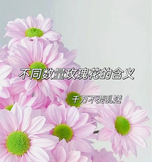 27朵玫瑰花送朋友有何含义？