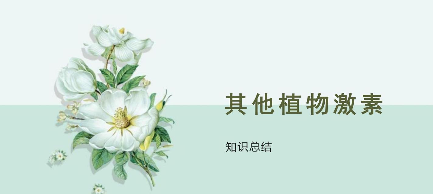 什么是植物丝？它在植物生长中起什么作用？