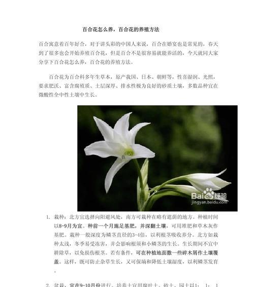 百合种植会破坏土壤吗？种植百合对土地的影响是什么？