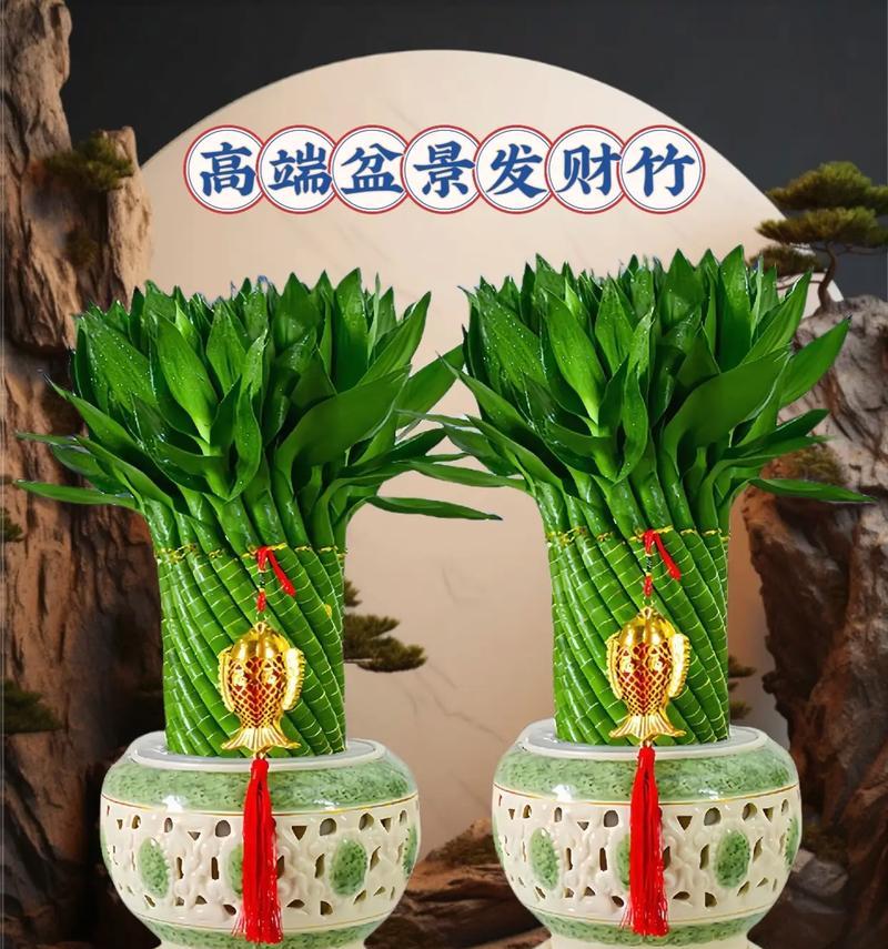 峰子盆景花卉的品种有哪些？各自的特点是什么？