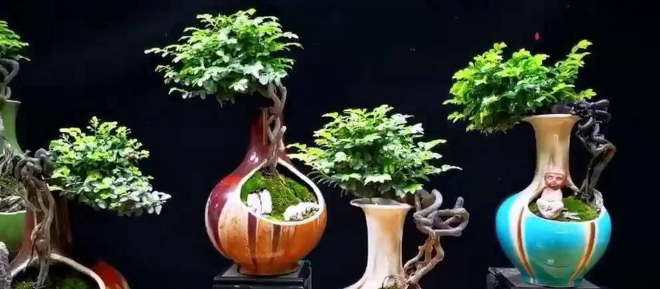 用钱做的大型花卉有哪些？这些花卉的制作材料是什么？