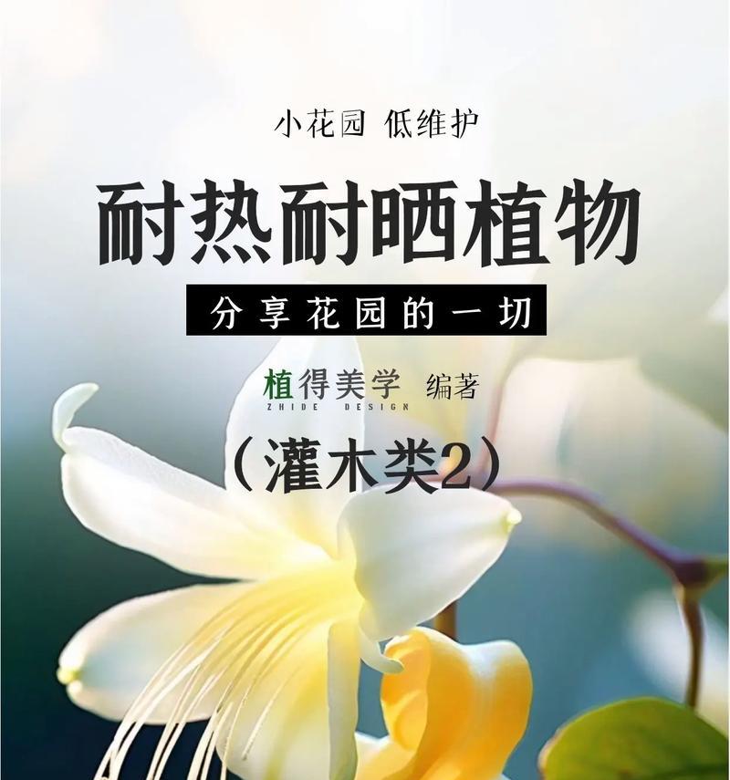 园林花卉的养护和选择技巧是什么？