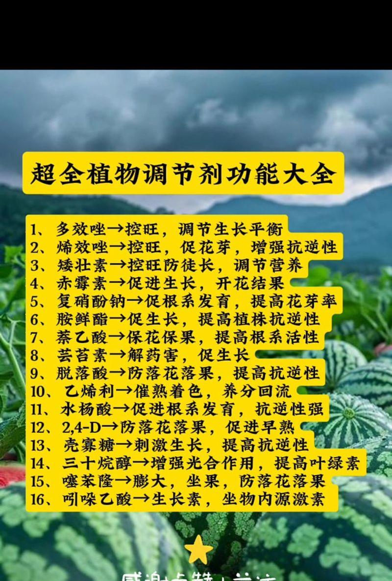 微生物花卉肥料有哪些好处？如何正确使用？