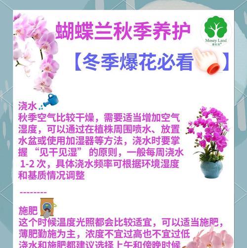 花卉大棚的维护知识是什么？如何提高花卉大棚的效率？